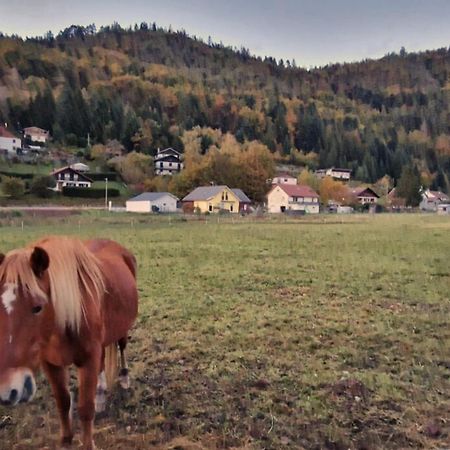 Villa Le Vivaldi, Au Coeur Du Massif Vosgien Avec Terrain De Petanque Rochesson Exterior foto