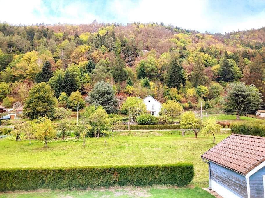 Villa Le Vivaldi, Au Coeur Du Massif Vosgien Avec Terrain De Petanque Rochesson Exterior foto